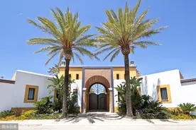 办公室养花益处很多，可你知道如何才能调节气场，带来好运和财气图片