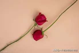 坏人没有羞耻心，所以活得心安理得；好人规矩多，所以总委屈自己图片