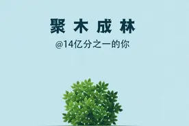 春风十里，不如植树有你图片