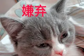 今日份彩虹屁（快拿去夸人）图片