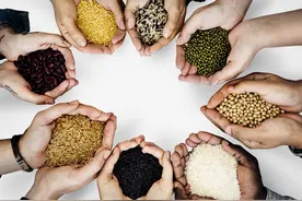 全球粮食危机，中国的粮食够吃吗？图片