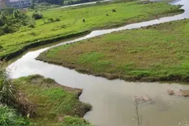 鱼苗能钓吗？男子湘江支流钓起几十条鲤鱼，全是二两不到的鱼苗图片