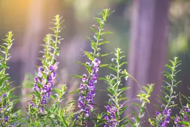 55岁阿姨自述：女人要想余生活得通透，就需学会“薄情寡义”点图片