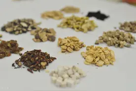 怎么祛湿有效？薏苡仁成祛湿代名词，从麻杏苡甘汤说说如何祛湿图片