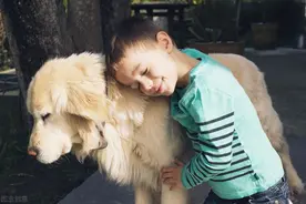 狗子有皮肤病怎么办？亲身经验告诉你图片