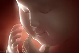 关于先兆流产保胎的几个问题图片