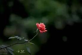 真正的爱情，是“等”来的图片