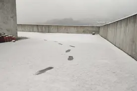 回忆往事，我对尾山农场那段日子的怀念图片