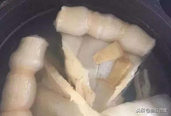 蜘蛛肚花胶怎么发 2026年蜘蛛片花胶
