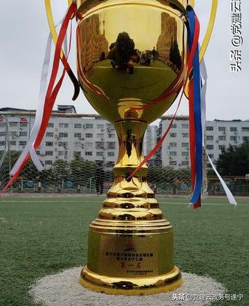 绿茵放飞梦想  足球传递希望丨遂宁高级实验学校校园足球发展综述