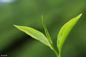 过于注重细节的人，往往都没有大的成功图片
