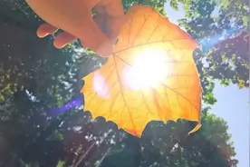 定力强，知足常乐，总有一天生活会扬眉吐气的星座图片