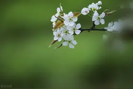 离婚5年后再见前妻，55岁男人感叹：我失去生命里最该珍惜的人图片