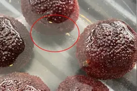 显微镜放大40倍，我看到了杨梅里正在蠕动的东西图片