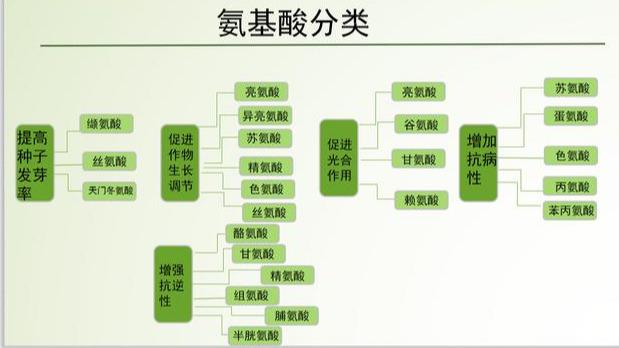 18种氨基酸在植物体内的作用，植物为什么需要这18种氨基酸呢？