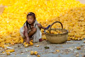 王宏广：中国食物隐性自给率为70%，保障粮食安全靠什么？图片
