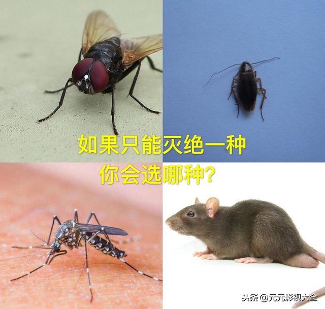 一直很好奇，男厕所常见这种标语。不知道女厕所的标语是什么