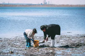 大连赶海拾贝地理新发现！这份攻略收好了图片