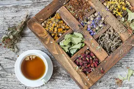 天有四时，药有四气图片