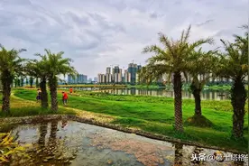 梧州，到底是广西味儿还是广东味儿？图片