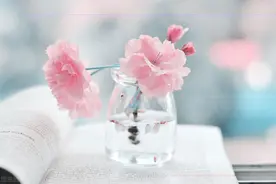 找个能聊得来的人谈恋爱有多舒服？未来总会美好，而你就在不远处图片