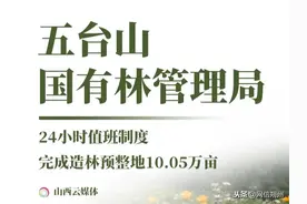 ​8张海报，看山西各地林局防火造林两手抓图片