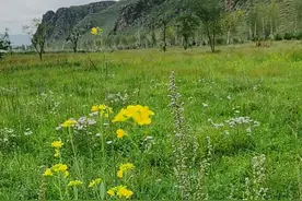 夏秋时节的清凉治愈系秘境，河北丰宁坝上京北第一天路的13个瞬间图片