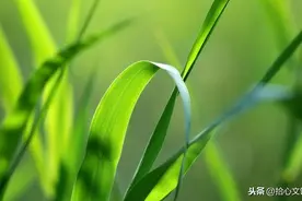 眼界决定胸怀，胸怀决定高度图片