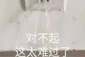 委屈表情包：对不起  这太难过了图片