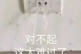 委屈表情包：对不起  这太难过了图片