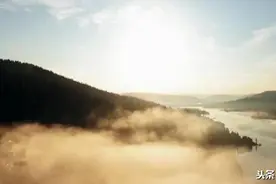 地底文明莱瑟塔档案-第一节 丛林遇见 表明身份图片