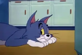 猫和老鼠的一生—致童年的你图片