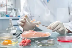 食品安全专项整治三年行动实施方案图片