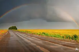 生活不是等待风暴过去，而是学会在雨中翩翩起舞图片