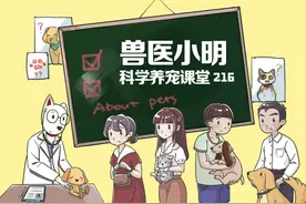 不正确的养狗方式，可能会造成狗狗瘫痪，快来看看你中枪了没图片