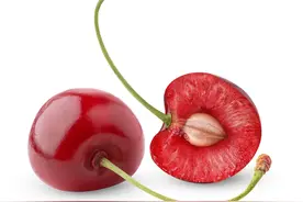 请收藏！陕西樱桃采摘指南图片