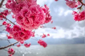 贺雪峰：请不要再为难农民宅基地了图片