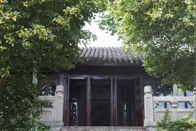 “桂花门前栽，贵人立门内”，桂花树这4个地方不宜栽，看完懂了图片