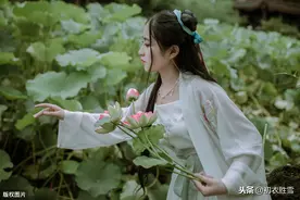 为什么说莲花，是古诗中最美的爱情之花，这首诗你必须多读几遍图片