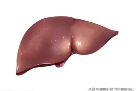 「卫生健康宣传日」全国爱肝日——爱肝护肝、防治结合、遏制肝炎图片