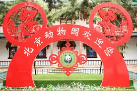 “云”游北京动物园，先来了解一下动物和园区？#解锁周边游#图片
