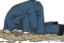 贾跃亭的成功破产，为破产法敲响警钟图片