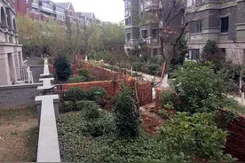 一楼“带院的房子”好不好？能不能买？谈谈居住体验图片
