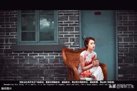 【夜听美文】倾听，花落的声音图片