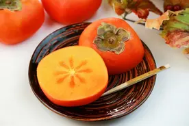 散文，百物冰封，浓情依旧图片