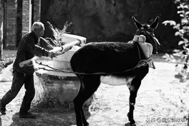 故事：石磨成精，半夜磨豆子，哪有什么神仙相助，最善良的还是人心图片