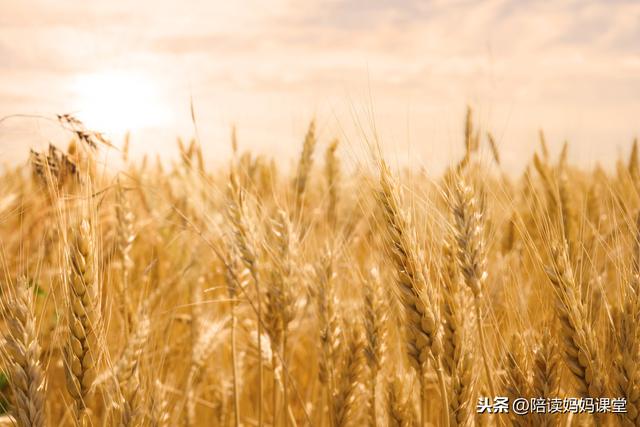 替孩子存下吧，很难找到的！各类成语