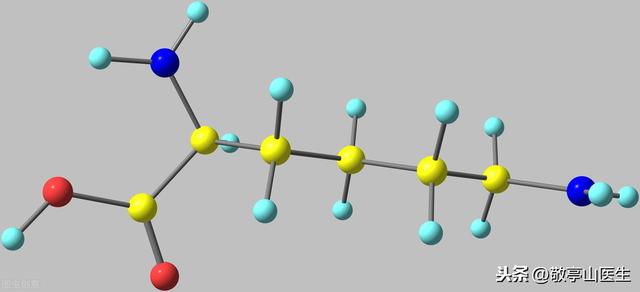 挂氨基酸、白蛋白、球蛋白对身体真有好处？告诉你事实真相
