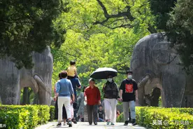 明孝陵石像路神道绿树成荫 游客漫步游玩 亲近自然感受历史图片