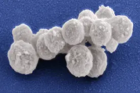 非淋菌性尿道炎反复发作，真的穷途末路了吗？图片